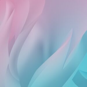 Image Upload Feature